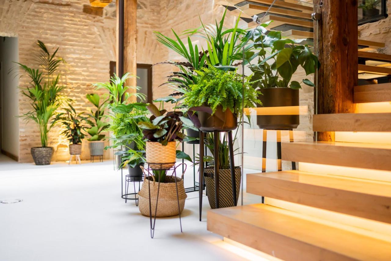 Hotel Azacanes Boutique